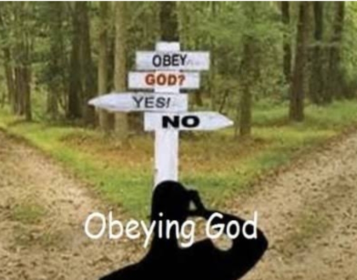 Why be obedient to God?